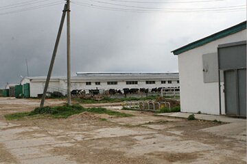 свинарники и коровники 